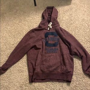 burgundy champion hoodie